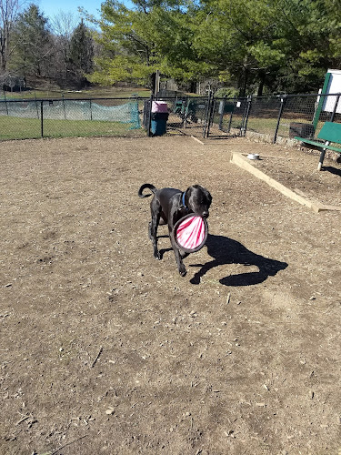 Grass Island Dog Park