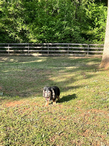 Lucy’s Private Dog Park (Reservation Only)