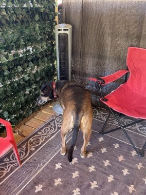 Lucy’s Private Dog Park (Reservation Only)