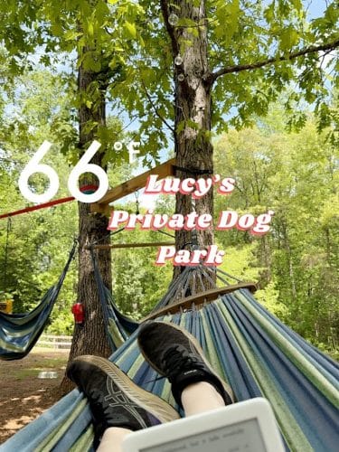 Lucy’s Private Dog Park (Reservation Only)