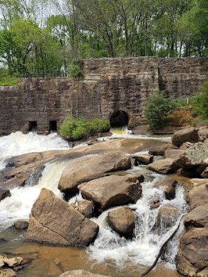 Pelham Mill Dog Park