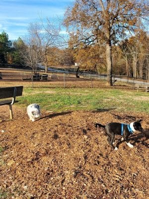 Pelham Mill Dog Park
