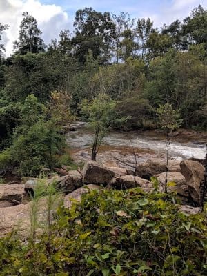 Pelham Mill Dog Park