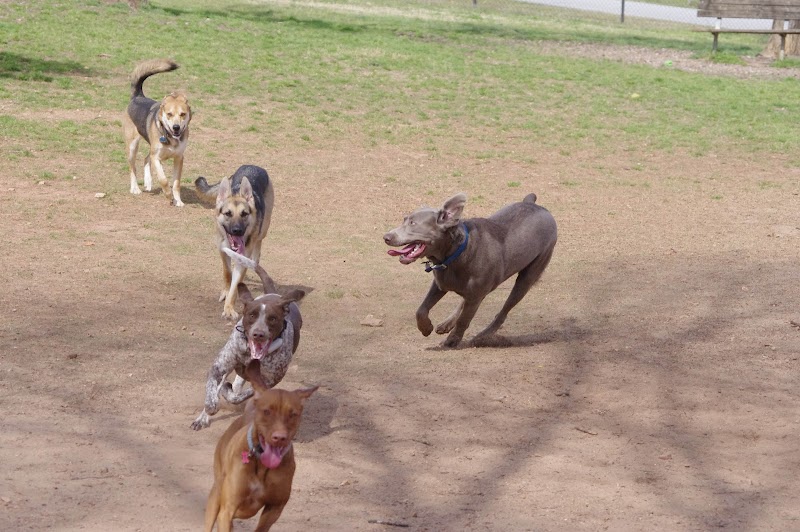Pelham Mill Dog Park - Greer, SC