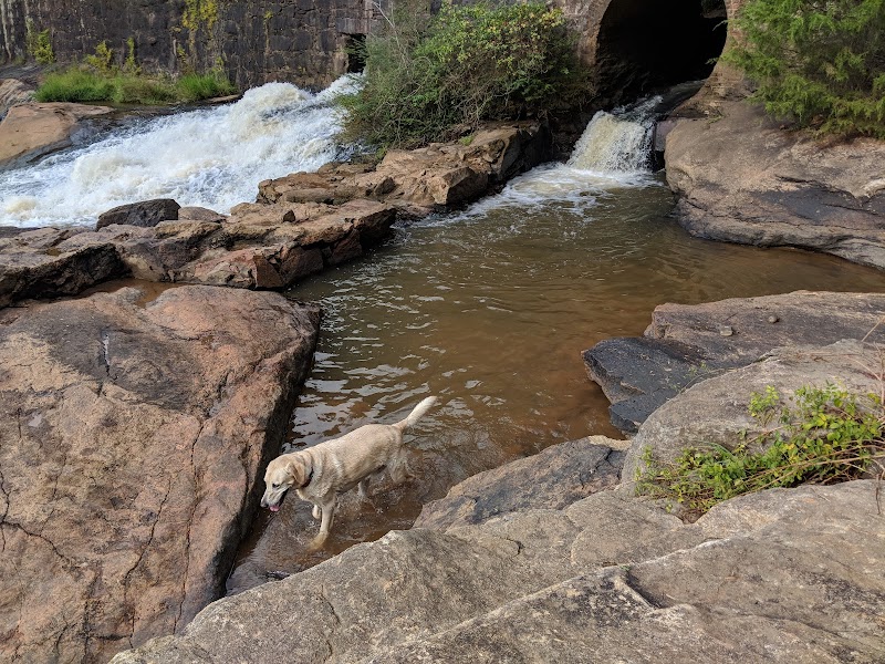 Pelham Mill Dog Park - Greer, SC