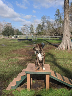 Gretna Dog Park