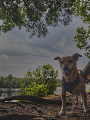 Hopeville Pond State Park