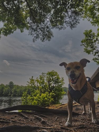 Hopeville Pond State Park