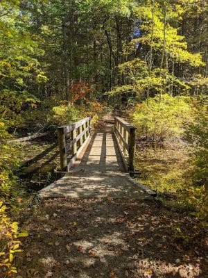Hopeville Pond State Park