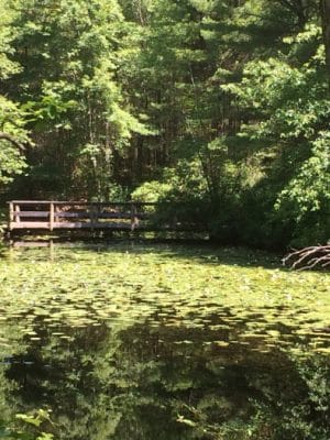 Hopeville Pond State Park
