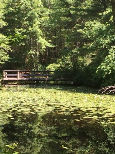 Hopeville Pond State Park