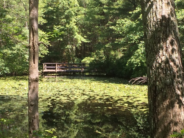 Hopeville Pond State Park - Griswold, CT