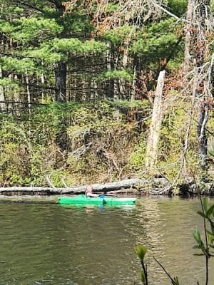 Hopeville Pond State Park