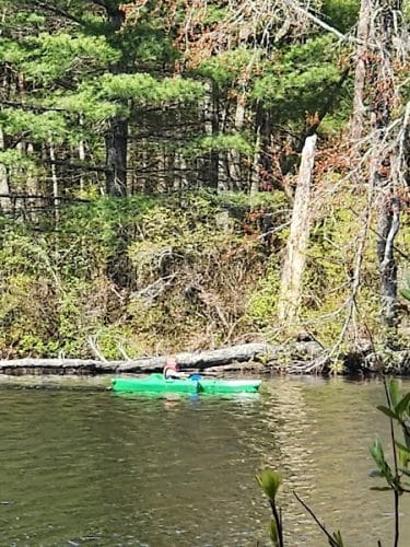 Hopeville Pond State Park