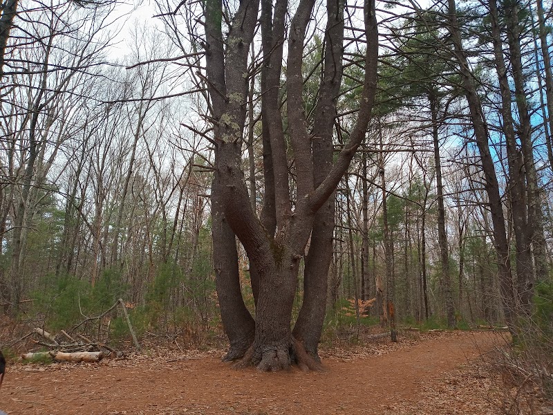 Hopeville Pond State Park - Griswold, CT