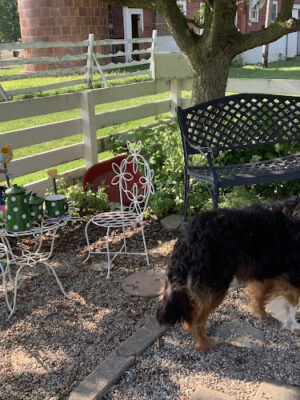 Grosse Ile Twp Centennial Farms