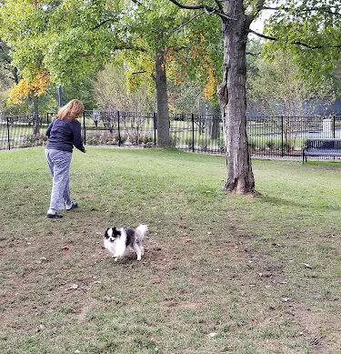 Matthew C. Patterson Park