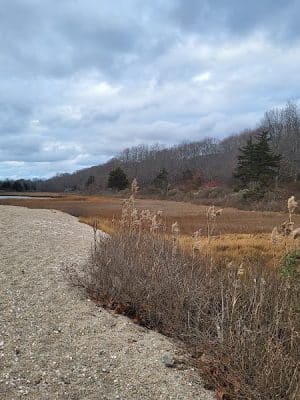 Bluff Point, Groton, Ct