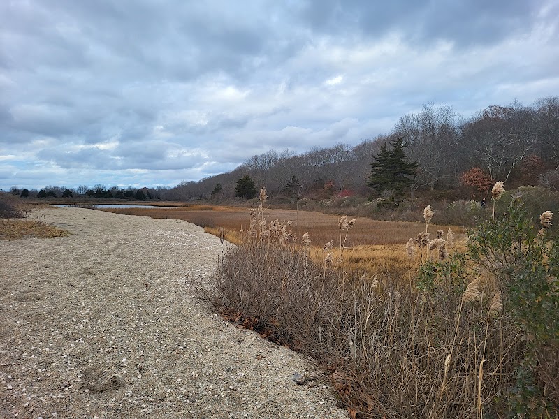 Bluff Point, Groton, Ct - Groton, CT
