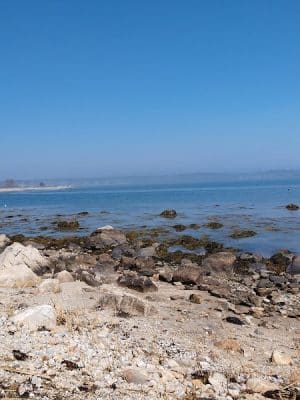 Bluff Point, Groton, Ct