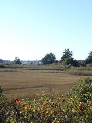 Bluff Point, Groton, Ct