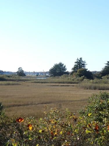 Bluff Point, Groton, Ct