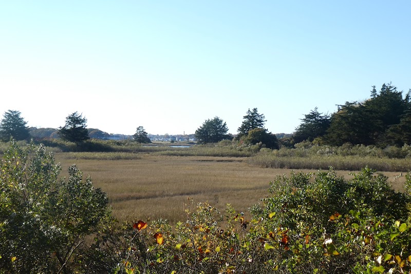 Bluff Point, Groton, Ct - Groton, CT