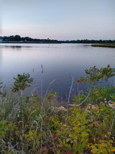 Bluff Point State Park