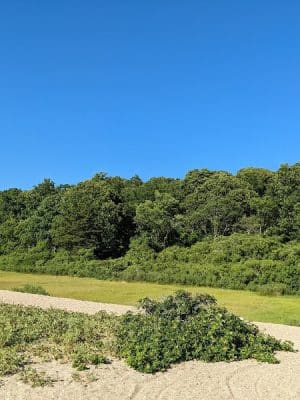 Bluff Point State Park