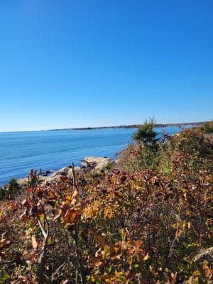 Bluff Point State Park