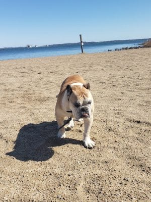 Esker Point Beach