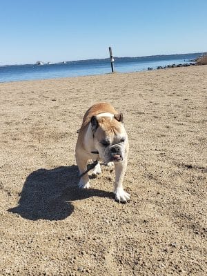 Esker Point Beach