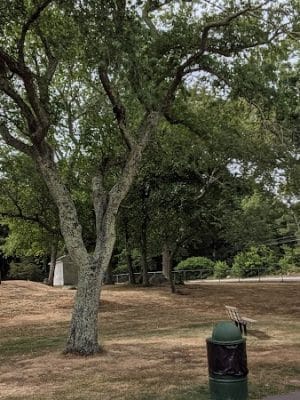 Farquhar Park
