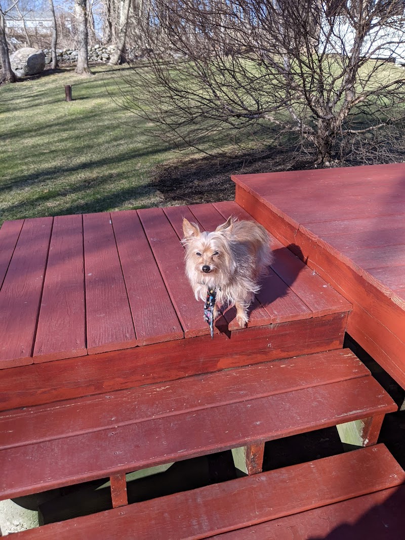 Fun. Play. Bark. - Groton, CT