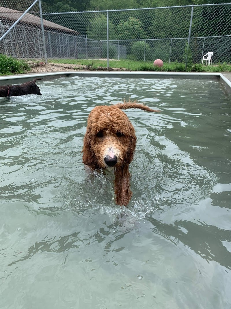 Fun Play Bark Lodge - Groton, CT