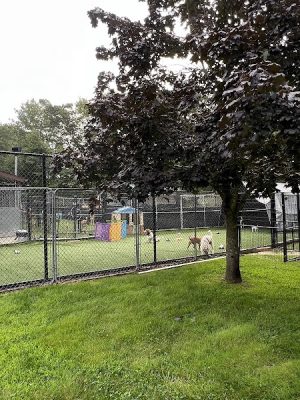 Fun Play Bark Lodge