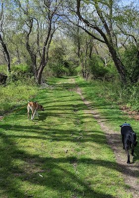 Haley Farm State Park