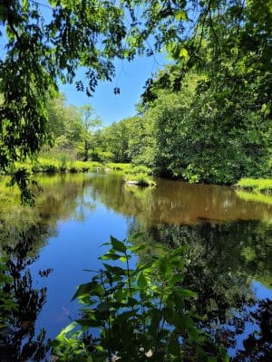 Haley Farm State Park