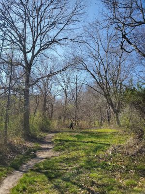 Haley Farm State Park