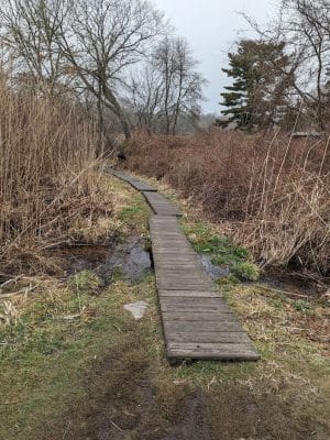 Haley Farm State Park