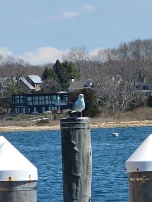 Main Street Dock and Beach