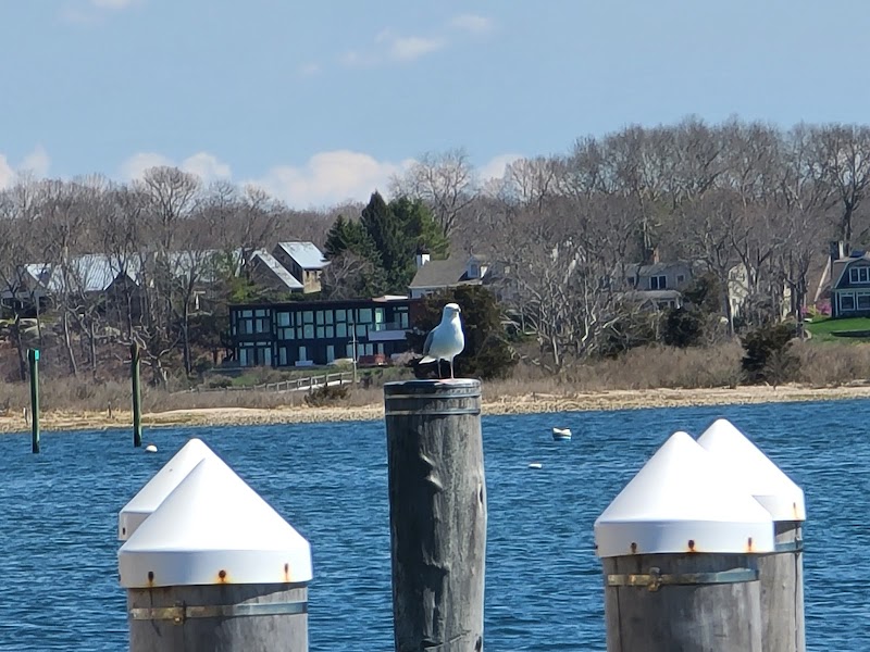 Main Street Dock and Beach - Groton, CT