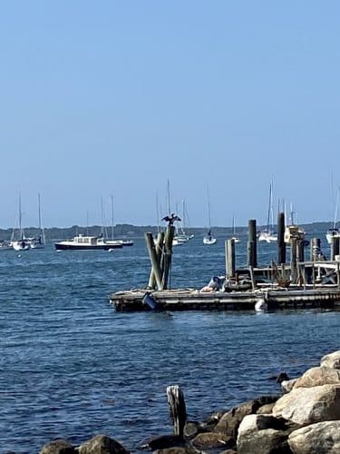 Main Street Dock and Beach