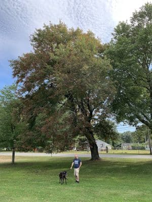 Poquonnock Plains Park