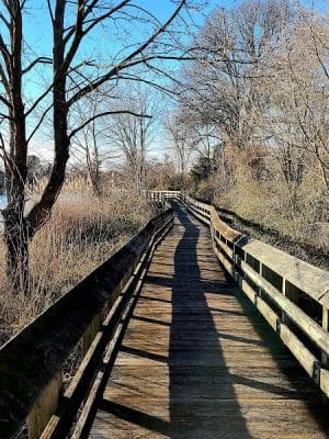 Poquonnock River Boardwalk