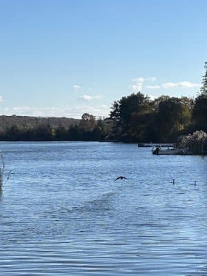 Poquonnock River Boardwalk