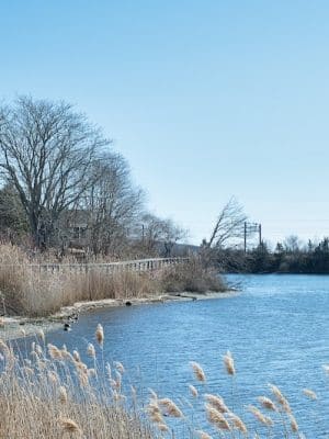 Poquonnock River Boardwalk