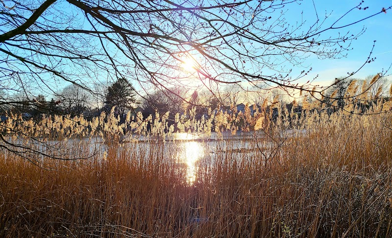 Poquonnock River Boardwalk - Groton, CT