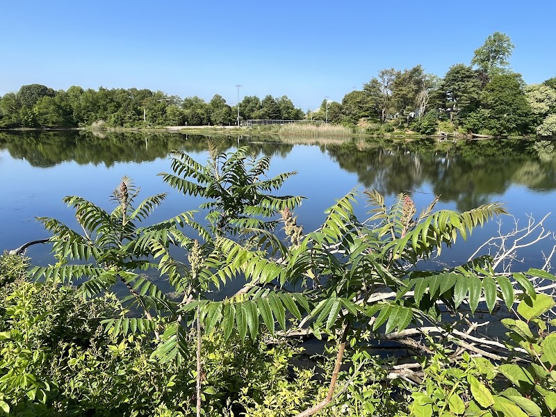 Poquonnock River Boardwalk - Groton, CT