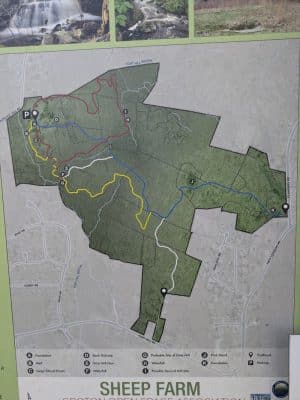 Sheep Farm Park